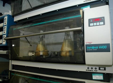 Thermo Heracell VIOS 160i CO2 Incubator photo 4