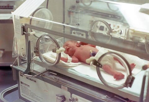 Dräger Isolette 8000 Plus Infant Incubator photo 2