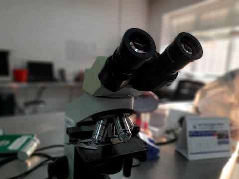 Zeiss Axio Imager 2 Research Microscope photo 4