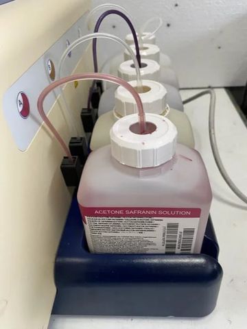 BIOMERIEUX Previ Color Gram Slide Stainer photo 2