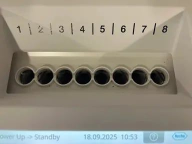 ROCHE Cedex Bio Cell Analyzers photo 5