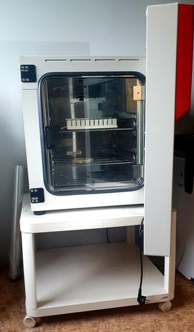 BINDER BD 56 Laboratory incubator photo 2